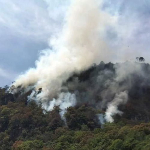 Santo Domingo del Estado pide ayuda por incendio que lleva 4 días en la Triqui Alta de Oaxaca